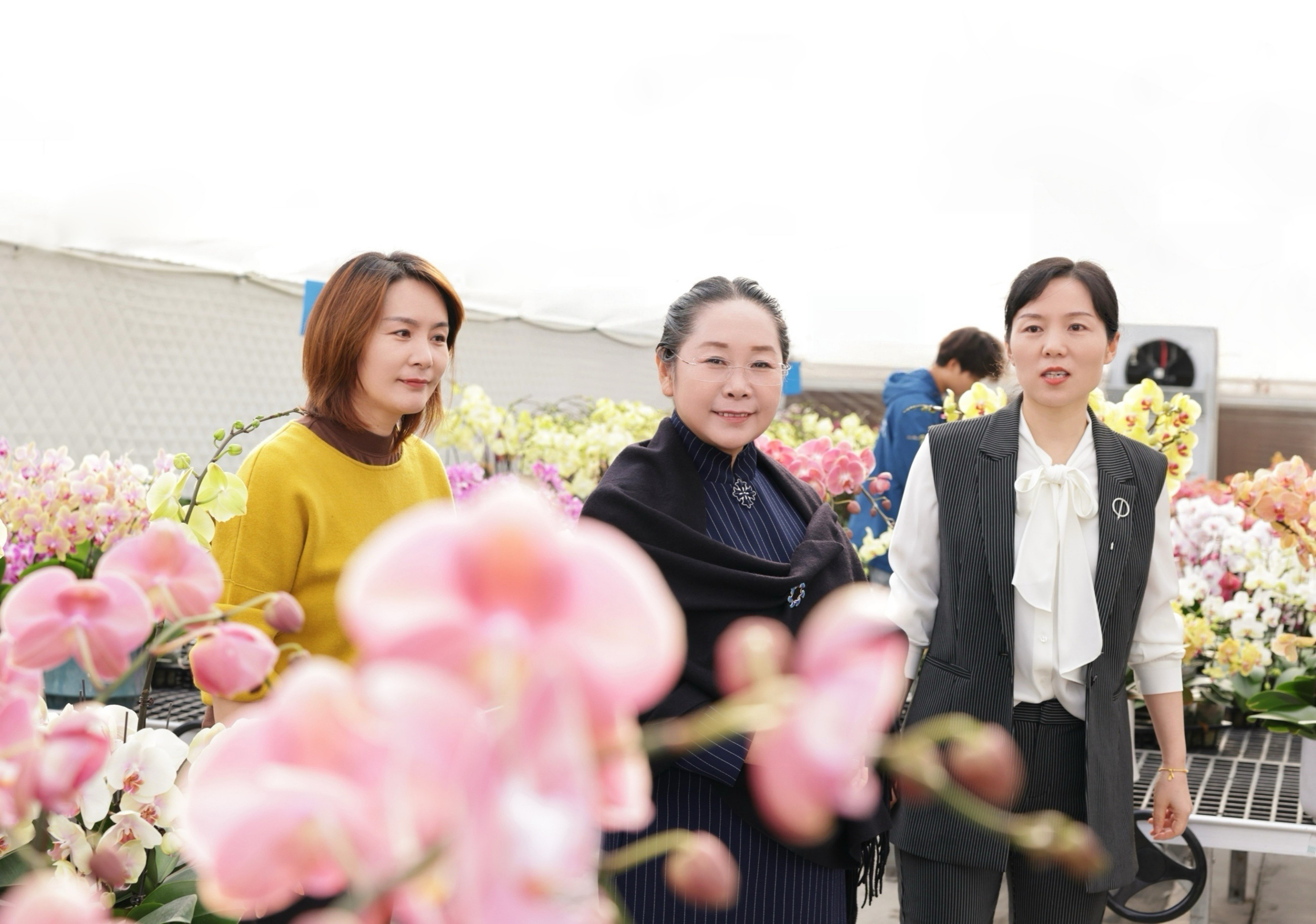 图片关键词 图片关键词