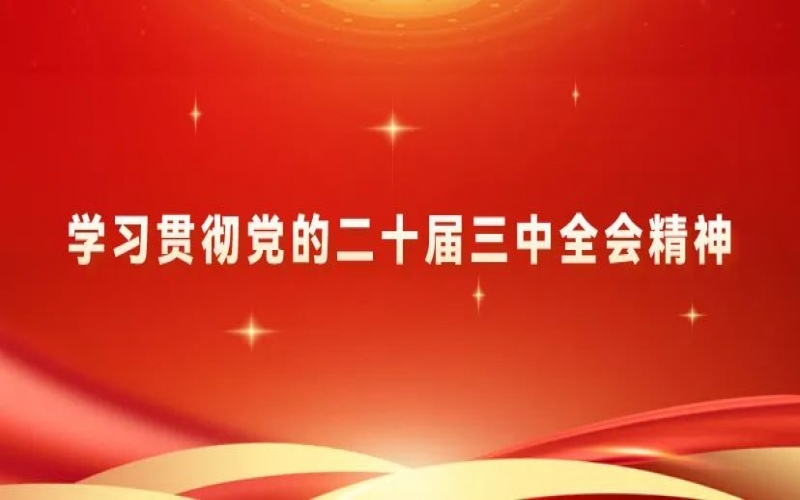 党建阵地 - 众博(中国)集团党员干部学习贯彻党的二十届三中全会精神体会交流（一）