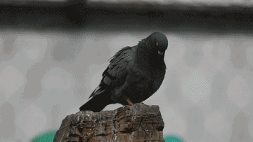 图片关键词 图片