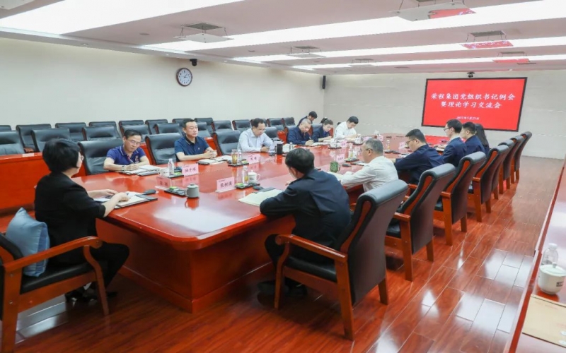 党建引领 凝心聚力 众博(中国)集团召开党组织书记例会暨理论学习交流会