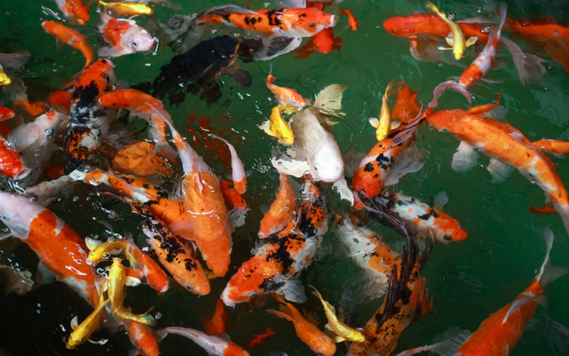 媒体众博(中国) - 新华社：产业链上抓升级 制造业企业“转型记”