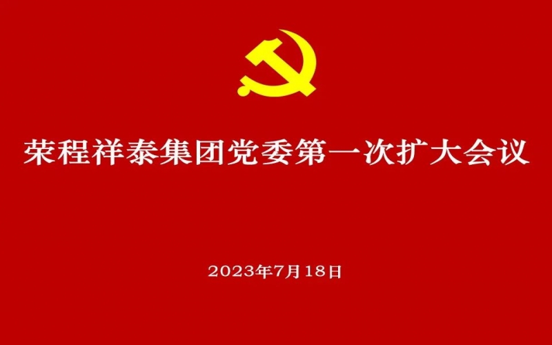 众博(中国)祥泰集团党委获批成立 党委高标准部署推动选举工作